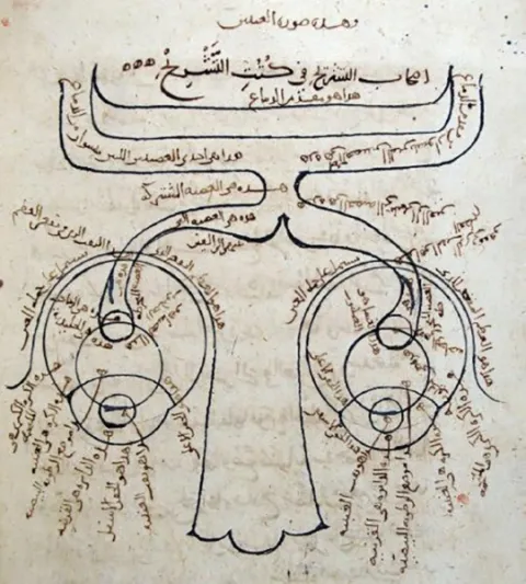 Zeichnung der beiden Augen mit Sehnerven nach Ibn al-Haitham, in arabischer Handschrift