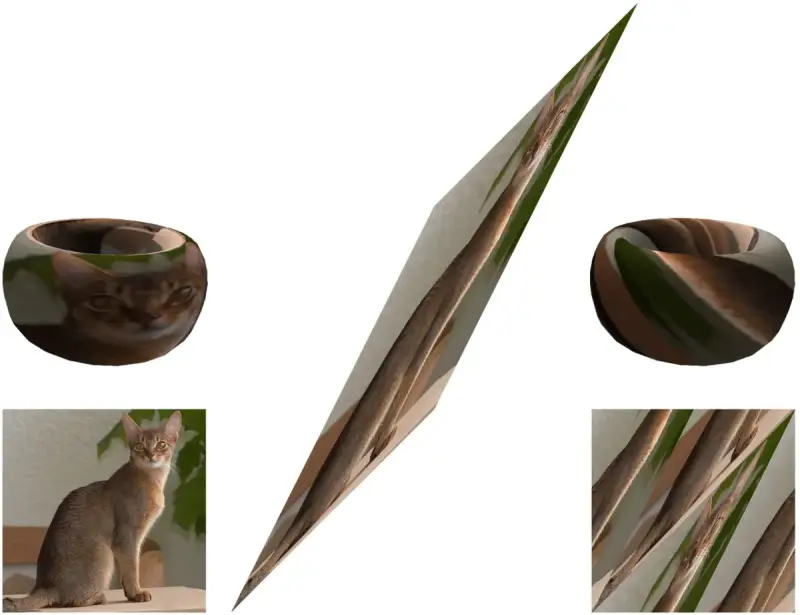 Ein Katzenbild wird durch Arnolds Katzenabbildung gestreckt und zerlegt